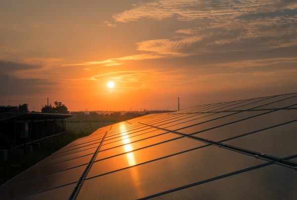 Solar panels on farm at sunset