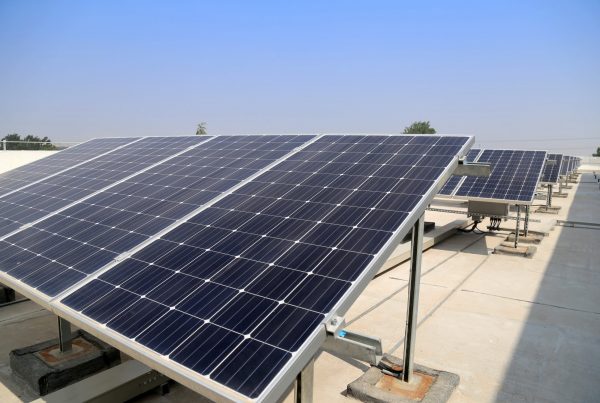 Business solar panels
