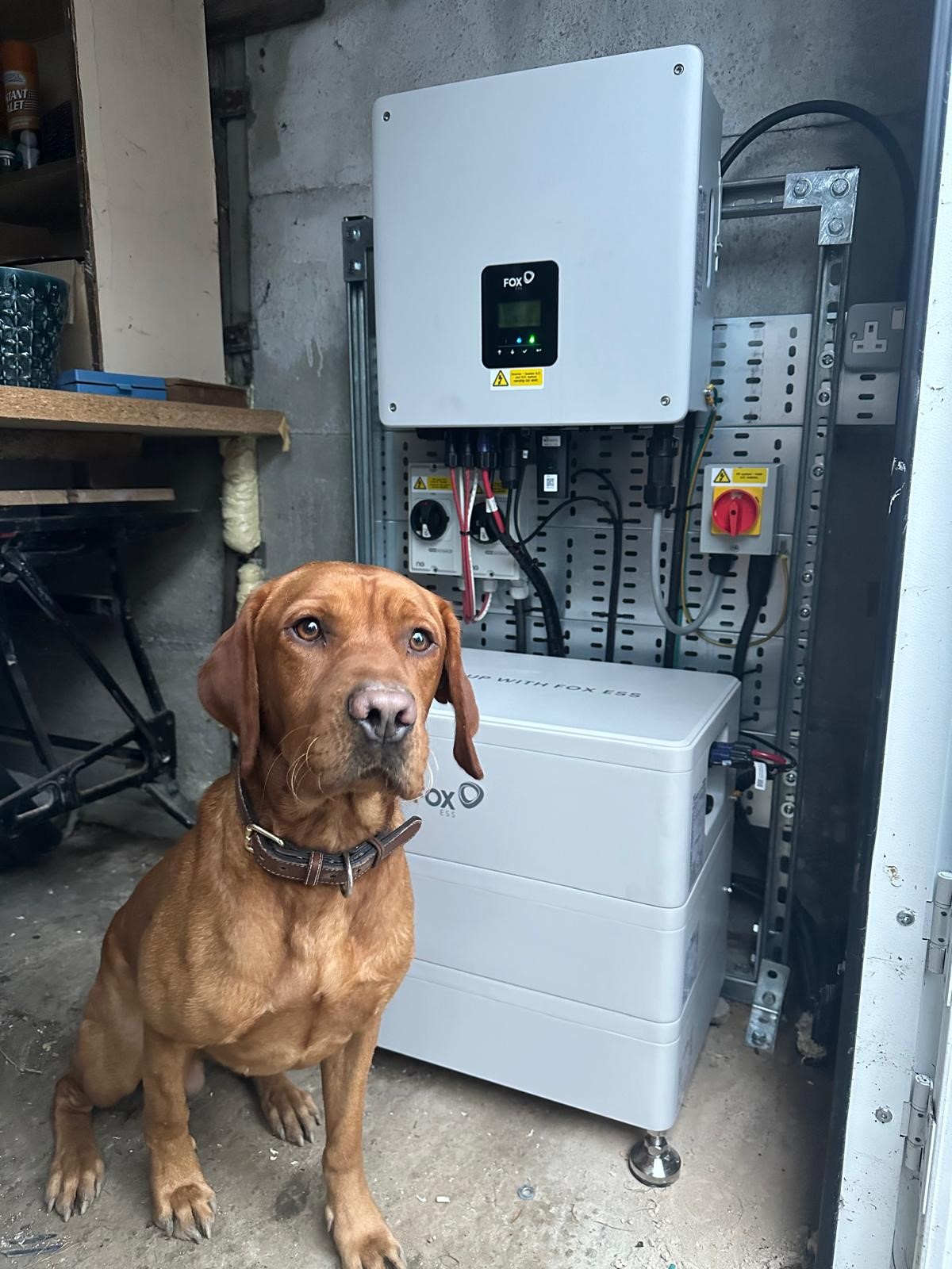 Local Success Story: Achieving Energy Independence in Caistor, Market Rasen