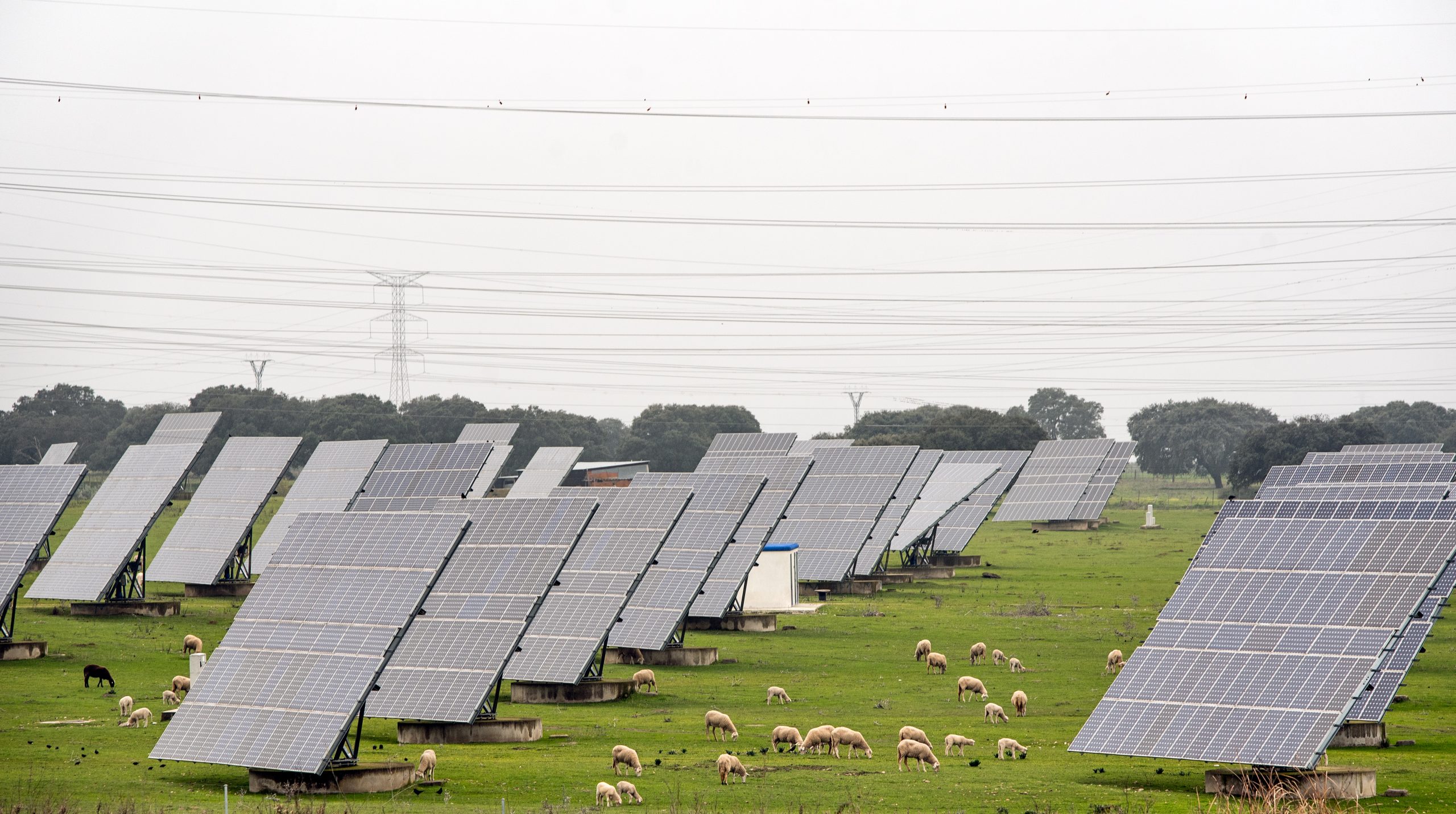 Solar Panels for Lincolnshire Farms: What are the Benefits?