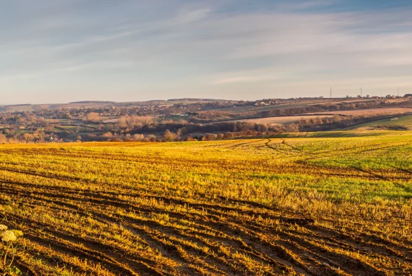A view from the Lincolnshire Wolds