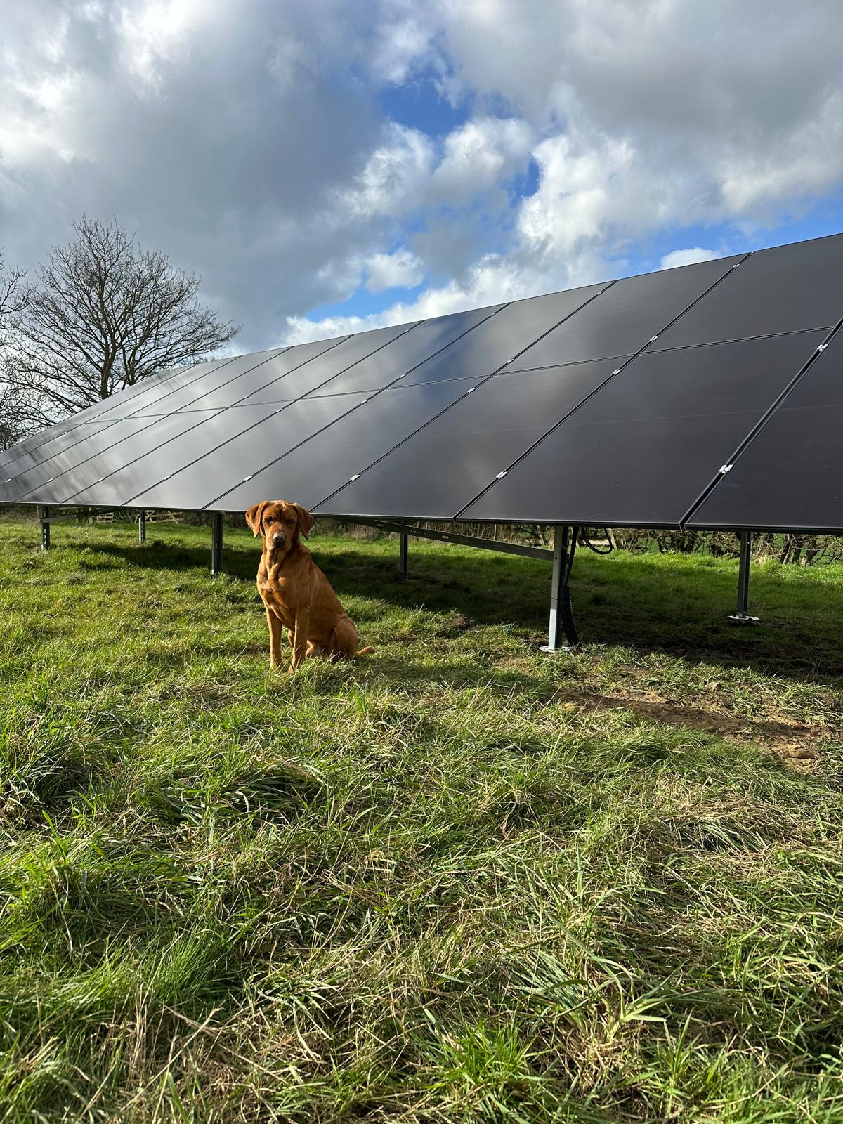 Laying the Groundwork for Success: Solar Array & Battery Installation in Hibaldstow, Lincolnshire